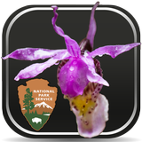 DenaliFlora Interactive Key APK