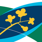 MyCrop Canola icon