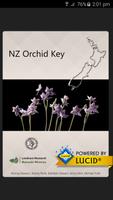 NZ Orchid Key poster