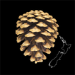 NZ Wilding Conifers
