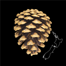 NZ Wilding Conifers APK