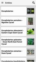 IDentifyIt Cycads تصوير الشاشة 1