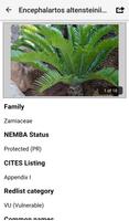 IDentifyIt Cycads captura de pantalla 2