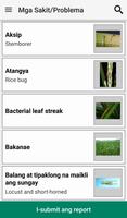 Rice Doctor Tagalog 截图 2