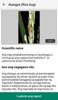 Rice Doctor Tagalog 截图 3