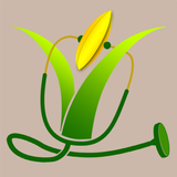 Rice Doctor icono
