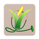 Rice Doctor Odisha APK