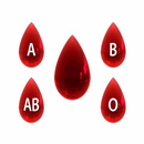 Blood Group Personality APK