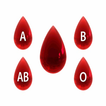 Blood Group Personality