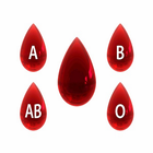 Blood Group Personality icono