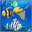 Fishing Color Sea APK