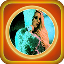 Top MP3 - Sandra N (Muzică) APK