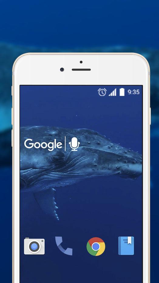 Android 用の マッコウクジラ水中ライブ壁紙 Apk をダウンロード