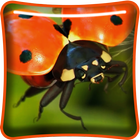 Microcosm Live Wallpaper icon