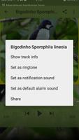 Bigodinho Sporophila lineola 스크린샷 2