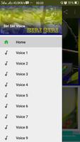 Siri Siri Voice 海报