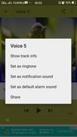 Siri Siri Voice syot layar 2