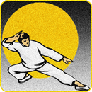 Memory Kung Fu APK
