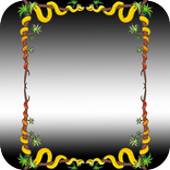 フォトフレーム