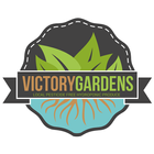 Victory Lunch Club icon
