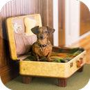 Dog Room Ideas APK