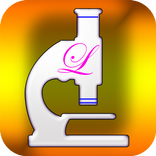 Microscope by Lucy