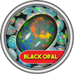 Aneka Batu Black Opal
