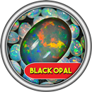 Aneka Batu Black Opal APK