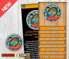 Aneka Batu Black Opal Cartaz