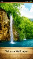 Nature HD Wallpapers 截图 1