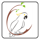 Bird icon