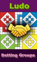 Ludo Tournament Groups poster