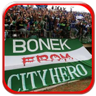 Lagu Persebaya Offline icon