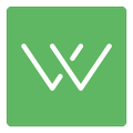 Wire Flow Wireframe Design