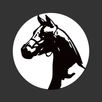 horseCam Online APK