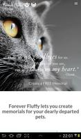 Forever Fluffy ảnh chụp màn hình 1