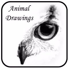 Животные рисунки