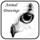 Animal Drawings APK