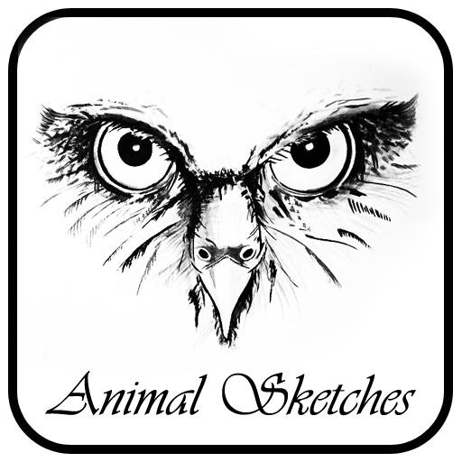 Animal Sketches