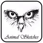 Animal Sketches