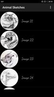 Animal Sketches Poster