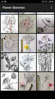 Flower Sketches اسکرین شاٹ 1