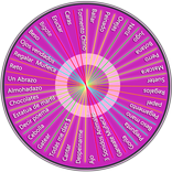 Ruleta girl (RETOS PARA CHICAS)