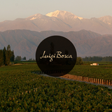 Luigi Bosca icon