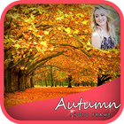 Icona Transparent Autumn Photo Frames