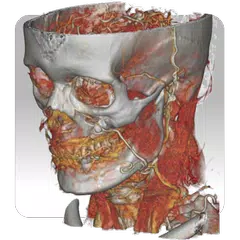 DroidRender - 3D DICOM viewer アプリダウンロード