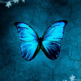 Butterflies LW icône