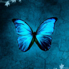 Butterflies LW أيقونة