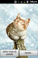 Cat in the snow LW Cartaz