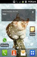 Cat in the snow LW imagem de tela 1